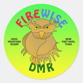 Pegatina Redonda DMR: pegatinas de búho inteligentes y más (verde)