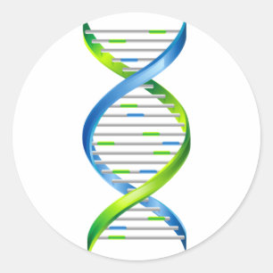 PEGATINA REDONDA DNA