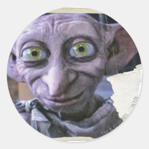 Pegatina Redonda Dobby 1