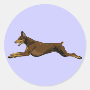Pegatina Redonda Doberman en marcha, rojo
