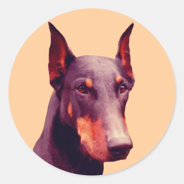 Pegatina Redonda Doberman Face Dog (Anverso)