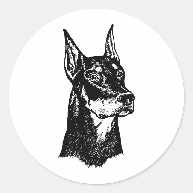 PEGATINA REDONDA DOBERMAN HEAD (Anverso)