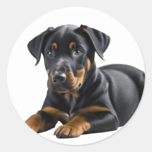 Pegatina Redonda Doberman Pincer Puppy