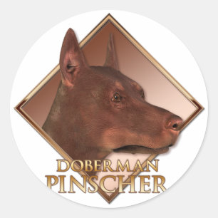 Pegatina Redonda Doberman Pinscher