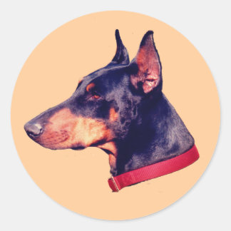 Pegatina Redonda Doberman Pinscher Face Dog