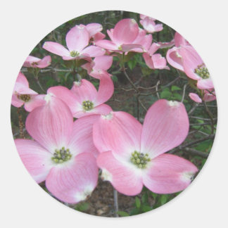 Pegatina Redonda Dogwood rosa