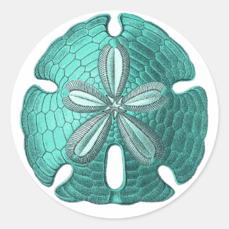 Pegatina Redonda Dólar Aqua Sand