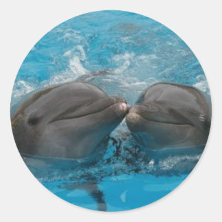 Pegatina Redonda Dolphin Kiss