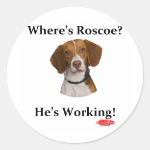 Pegatina Redonda ¿Dónde está Roscoe?