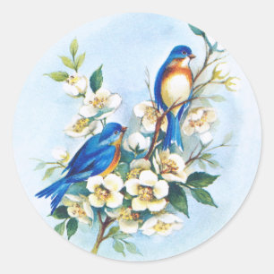 Pegatina Redonda Dos Bluebirds