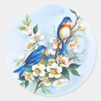 Pegatina Redonda Dos Bluebirds