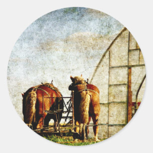 Pegatina Redonda Dos caballos listos para el trabajo