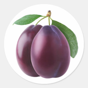 Pegatina Redonda Dos ciruelas púrpuras