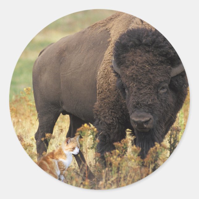 Pegatina Redonda Dos de una clase (Anverso)