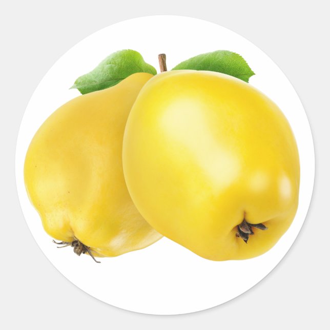 Pegatina Redonda Dos frutos de membrillo (Anverso)