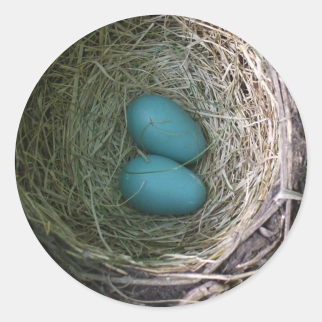 Pegatina Redonda Dos huevos de Robin azul en el Nest Classic Round  (Anverso)