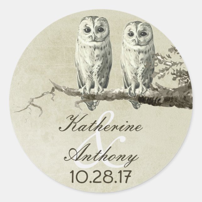 Pegatina Redonda Dos lindos stickers de bodas de búho (Anverso)