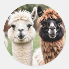 Pegatina Redonda Dos Llamas
