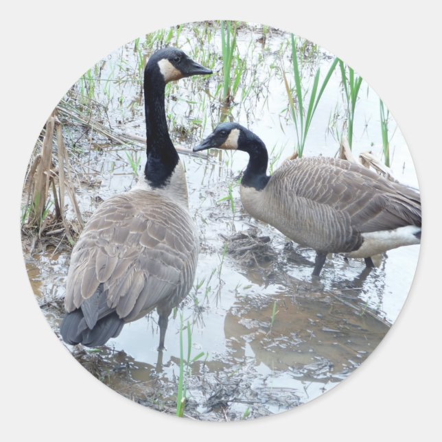 Pegatina Redonda Dos pegatinas geológicos (Anverso)