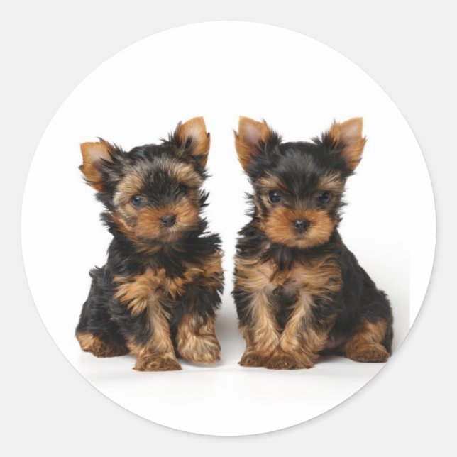 Pegatina Redonda Dos pequeñas supercaras (Anverso)