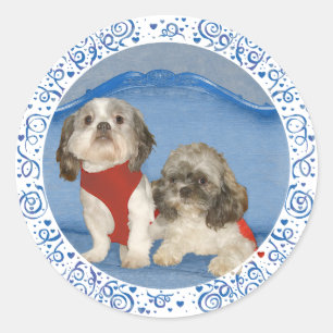 Pegatina Redonda Dos Pequeños Perros Rescatados Shih Tzu
