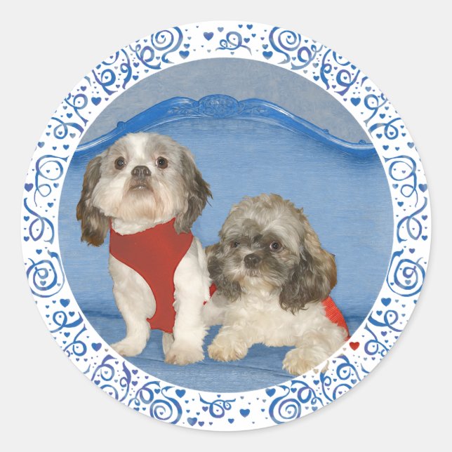 Pegatina Redonda Dos Pequeños Perros Rescatados Shih Tzu (Anverso)