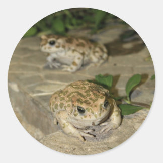 Pegatina Redonda Dos pequeños toads - huella de rana verde