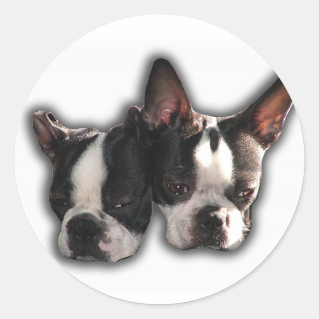 Pegatina Redonda Dos tipos (Anverso)