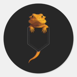Pegatina Redonda Dragón Barbudo Cket Lindo Lagarto Exótico Reptil M