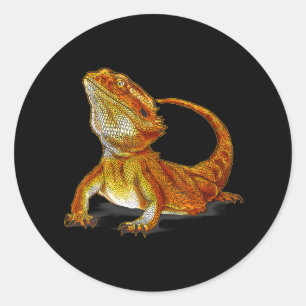 Pegatina Redonda Dragón con barba Lizard Vida salvaje Terrarista An