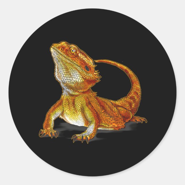 Pegatina Redonda Dragón con barba Lizard Vida salvaje Terrarista An (Anverso)