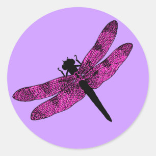 Pegatina Redonda Dragonfly alga rosa