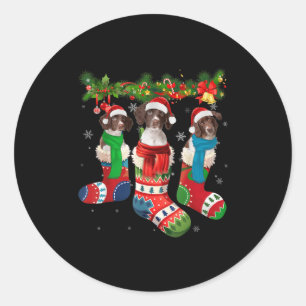 Pegatina Redonda Drentse Patrijshond En Calcetines De Navidades