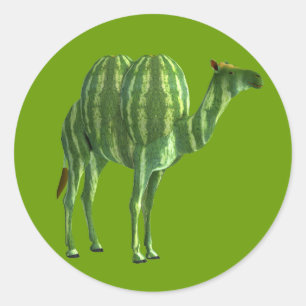 Pegatina Redonda Dromedary Day