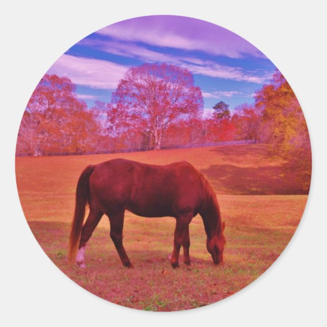 PEGATINA REDONDA DSCF0536.JPG (Anverso)