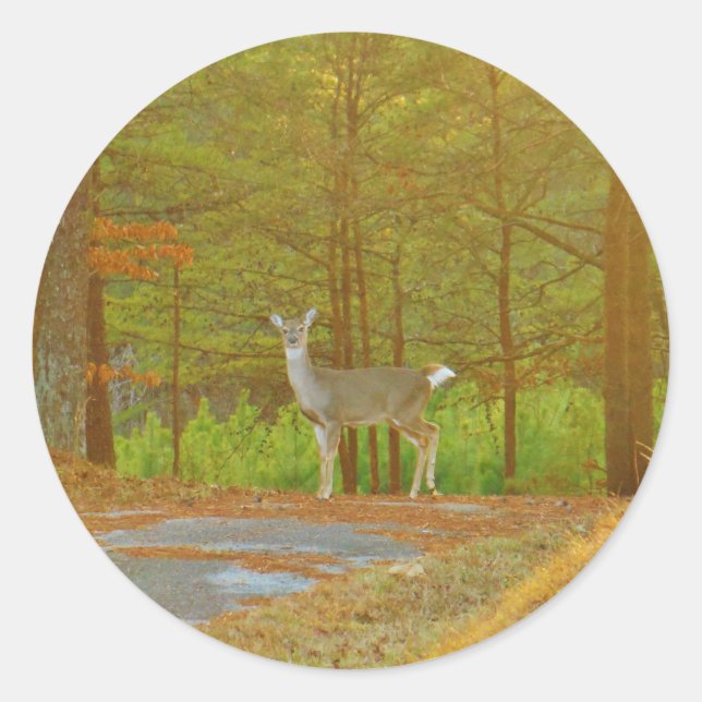 PEGATINA REDONDA DSCF4041.JPG (Anverso)