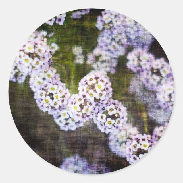 Pegatina Redonda Dulce alyssum en Grunge (Anverso)