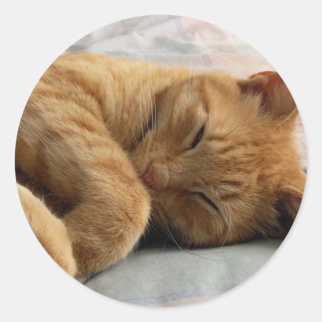 Pegatina Redonda Dulces sueños (Anverso)