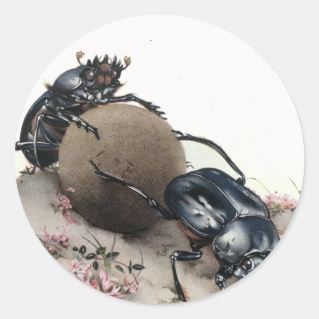 Pegatina Redonda Dung Bettle (Anverso)