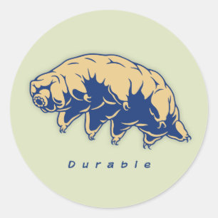 Pegatina Redonda Durable - Tardigrado