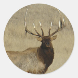 Pegatina Redonda E30 Bull Elk Big Bull