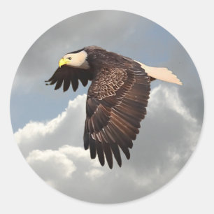PEGATINA REDONDA EAGLE DE ELEVACIÓN