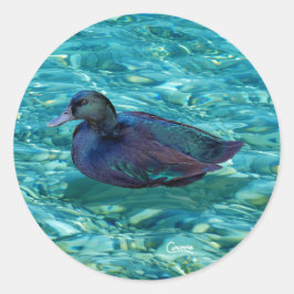 Pegatina Redonda Ebony Duck - Pegatinas de sobres
