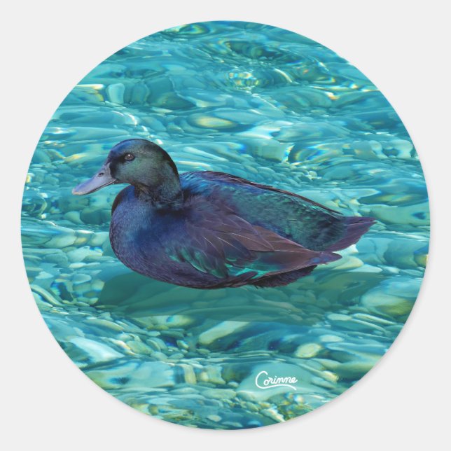 Pegatina Redonda Ebony Duck - Pegatinas de sobres (Anverso)