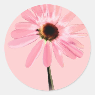 Pegatina Redonda Echinacea purpurea
