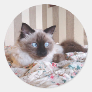 Pegatina Redonda Edith