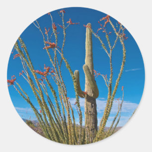 Pegatina Redonda EE. UU., Arizona. Cactus en el Parque Nacional Sag