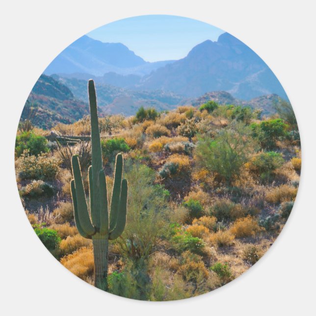 Pegatina Redonda EE. UU., Arizona. Desert View (Anverso)