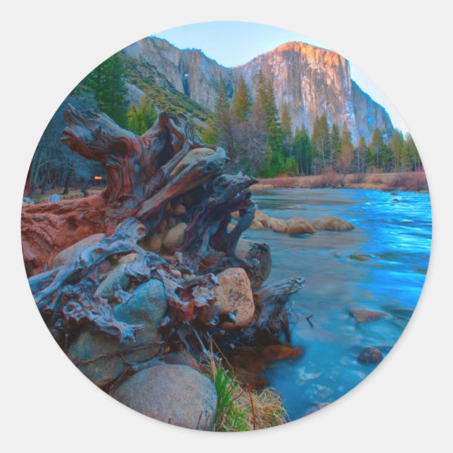 Pegatina Redonda EE.UU., California. Raíces de árbol en río Merced (Anverso)