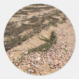 Pegatina Redonda EE. UU., Massachusetts, Nantucket. Concha